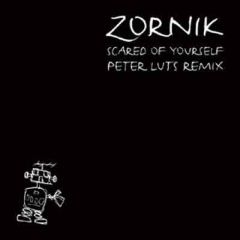 Zornik - Scared of yourself (Peter Luts remix)